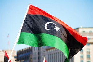 E.C.T.N Obbligatorio per spedizioni in Libia
